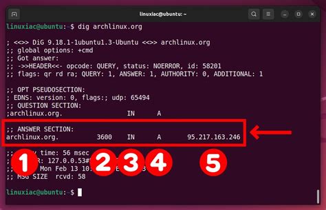 dig(1): DNS lookup utility .